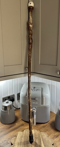 Vintage walking stick - walking,