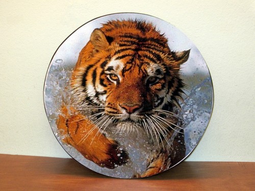 Tiger2 wheel ture - tiger2, cover