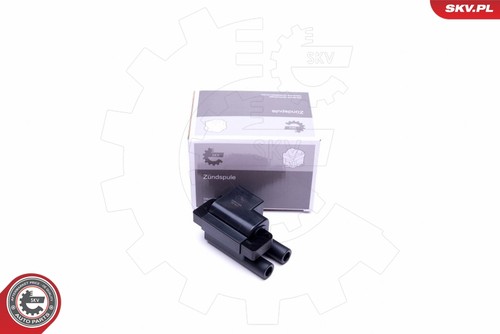 Ignition coil esen - esen, skv