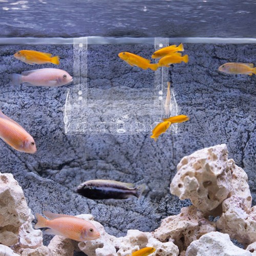 Aquarium planting cup - planting, fish
