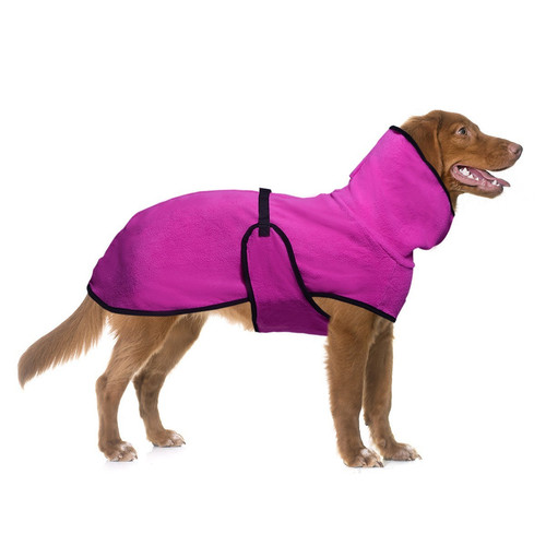Dog pet whippet - dog, jacket