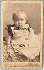 CDV RARE ROBERT JAMES DUBBIN of KINGSTON ON THAMES ANTIQUE PICTURE BACK PHOTO