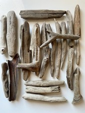 Driftwood Colourful Painted