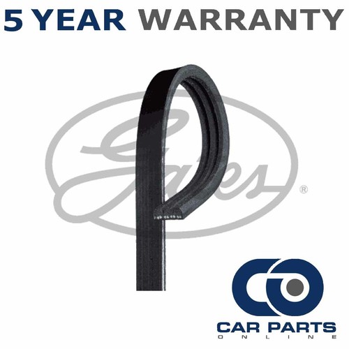 Gates ribbed belts fits - belts,