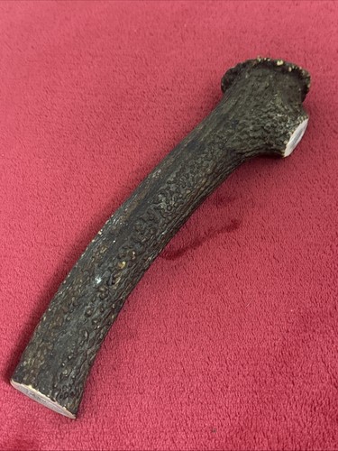 One piece red - deer, antler