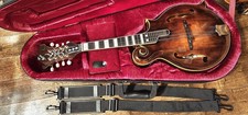 Morris  Mandolin MF-600 Vintage F-style Flat Guitar