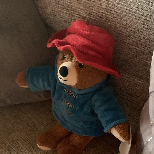 Paddington bear plush teddy - plush,