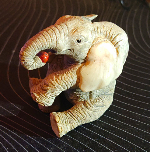 Tiny tuskers elephant - tiny,