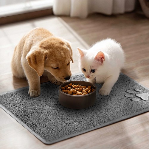 Cat dog food - cat, mat