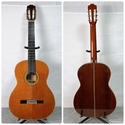 Takamine acoustic guitar - takamine,