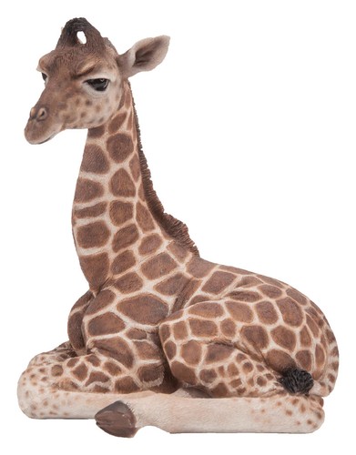 Vivid arts pet - vivid, pal