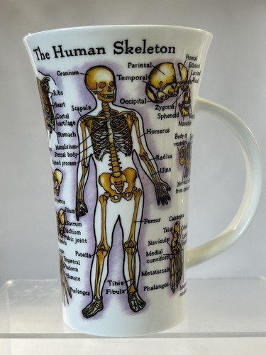 Dunoon the human body - body’, by