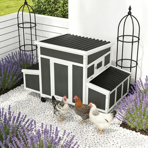 Wooden chicken coop outdoor - chicken,