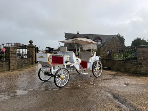 2025 captok horse - 2025,