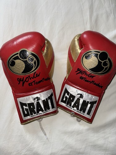 Professional grant boxing - professional,