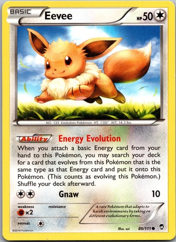 111 eevee furious - furious, fists
