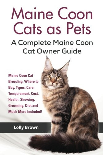 Maine coon cats - as, pets