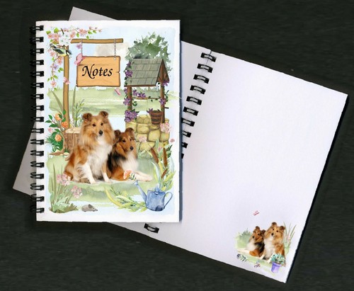 Shetland sheepdog - shetland,