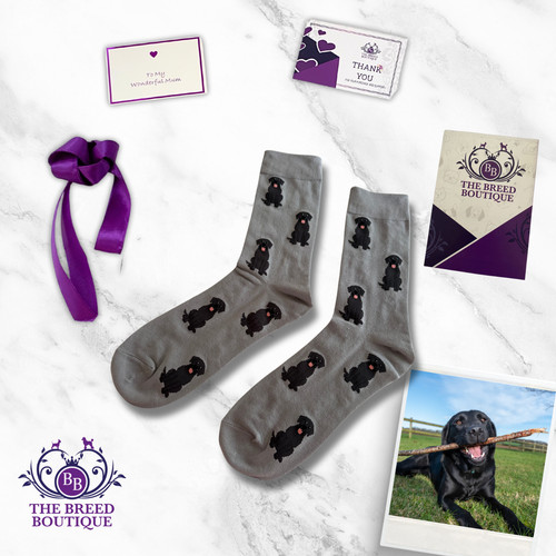 Black labrador socks grey - labrador,