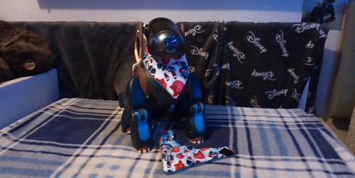 Sony aibo set custom - set, 2