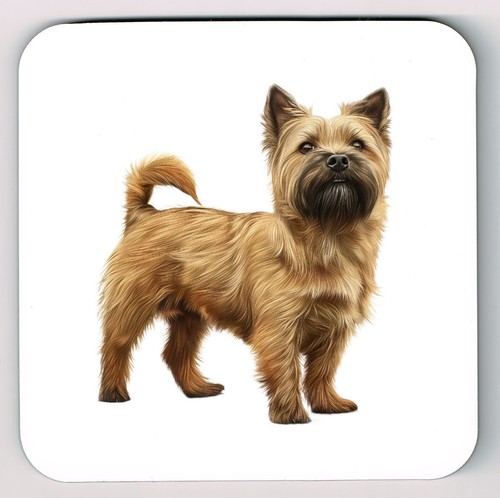 Cairn terrier dog - terrier, watercolour