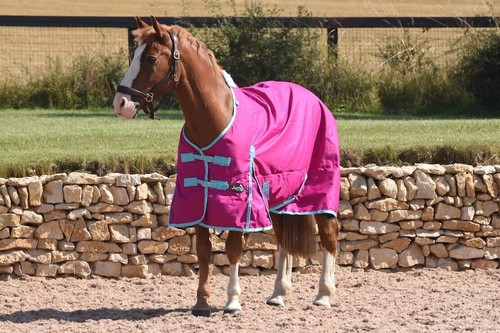 Horse turnout rug fill - turnout,
