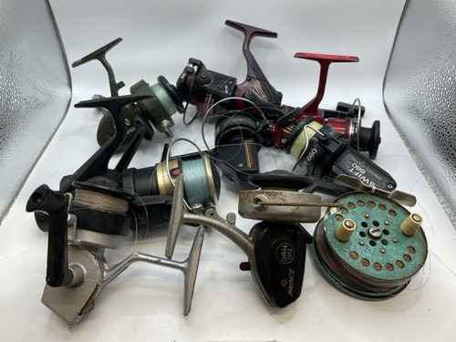 Vintage collection fishing - of,