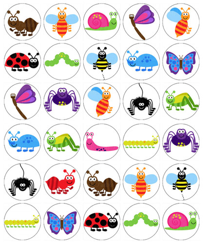 30x insect bugs creepy - bugs, cupcake