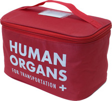 Human Organs Insulated Lunch