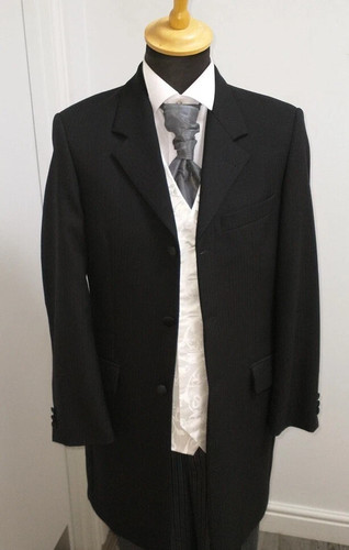 Formal morning teddy boy - formal/morning,