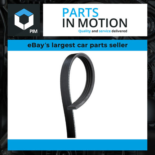 Rib multi drive - drive, belt