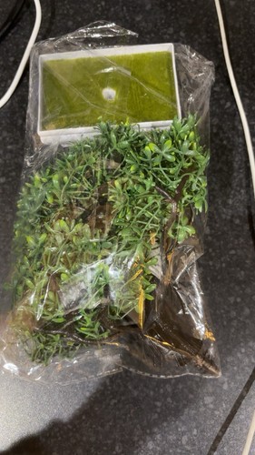 Artificial bonsai tree 20cm - bonsai,