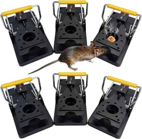 Roshield mouse trap 6 - roshield, x