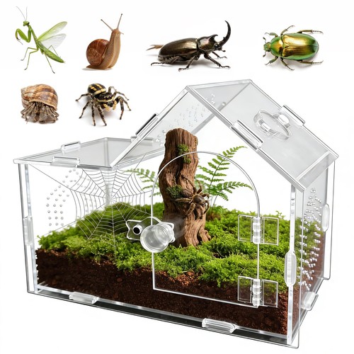 Clear acrylic terrarium - clear,