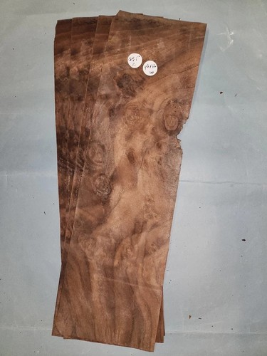 American walnut burr veneer - burr,
