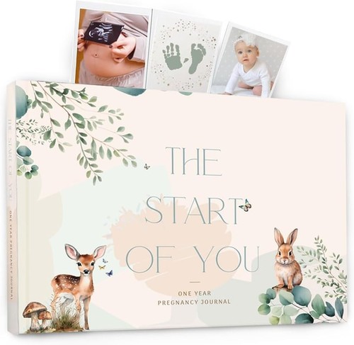 Pregnancy journal planner - pregnancy,