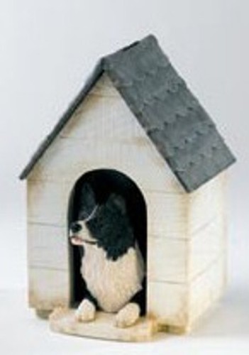 Border fine arts collie - border,