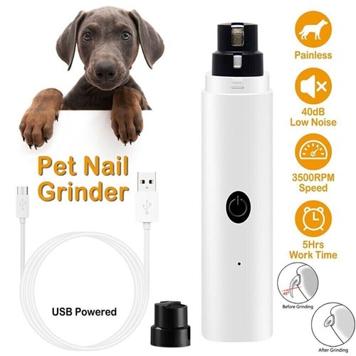 Electric dog toe - dog,