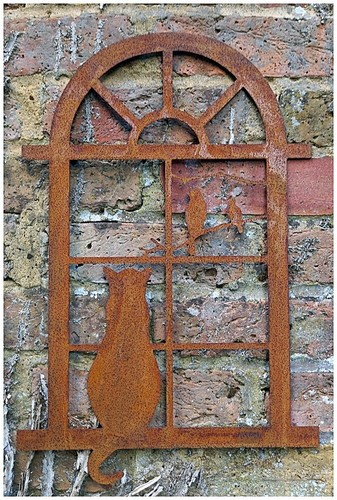 Sitting cat arched window - cat,
