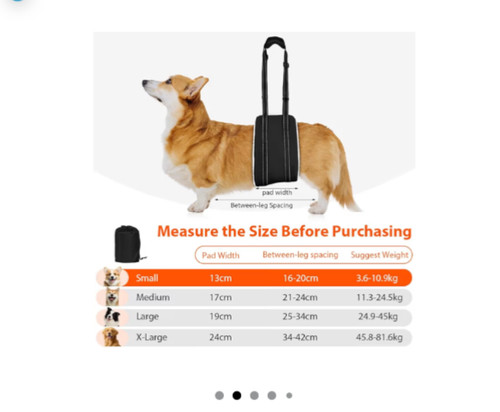 Dog mobility aids support - aids,