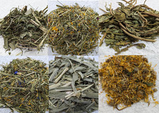 Natural dried forage/treats