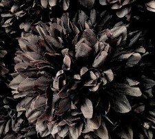 Job Lot of 36 Large Artificial