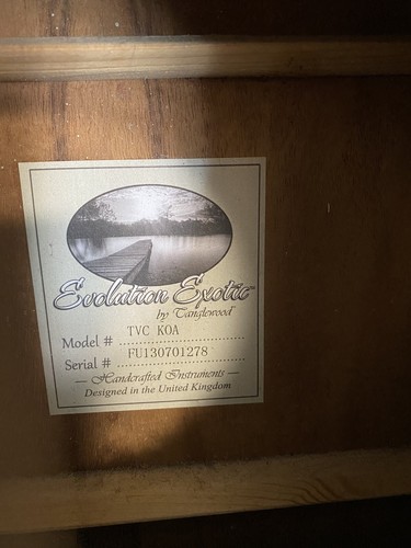 Tanglewood tvc koa evolution - koa,