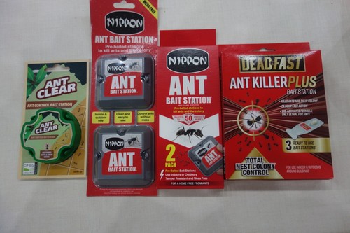 Nippon deadfast antclear ant - ,