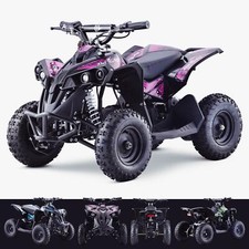 Kids 36V Mini Quad Bike 1000W