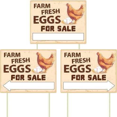 3pcs double sided - 3pcs, fresh
