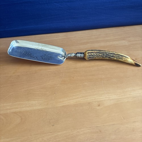 Victorian stag horn antler - horn,