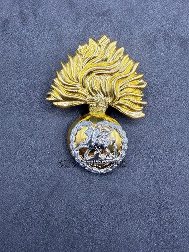 Royal regiment fusiliers - regiment,