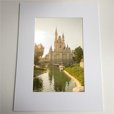 Cinderella Castle • Dreamy