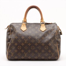 Louis Vuitton Monogram Speedy